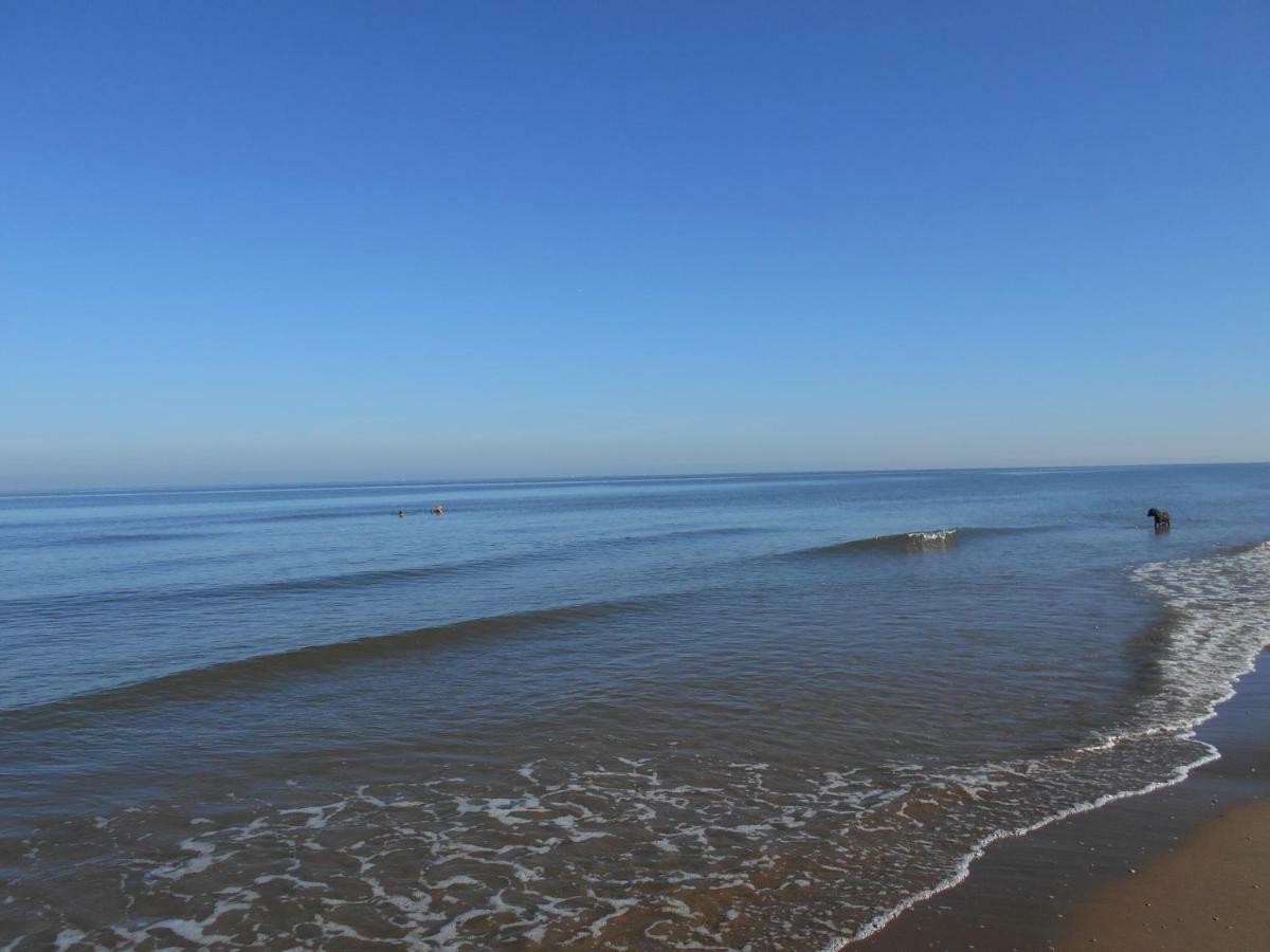 Zomerhuis Wonders Zandvoort Dış mekan fotoğraf